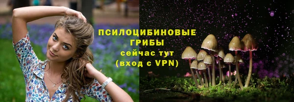 скорость Абинск