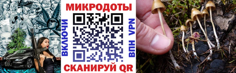 Галлюциногенные грибы мухоморы  Гагарин 